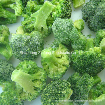 Nuevo brócoli IQF congelado chino